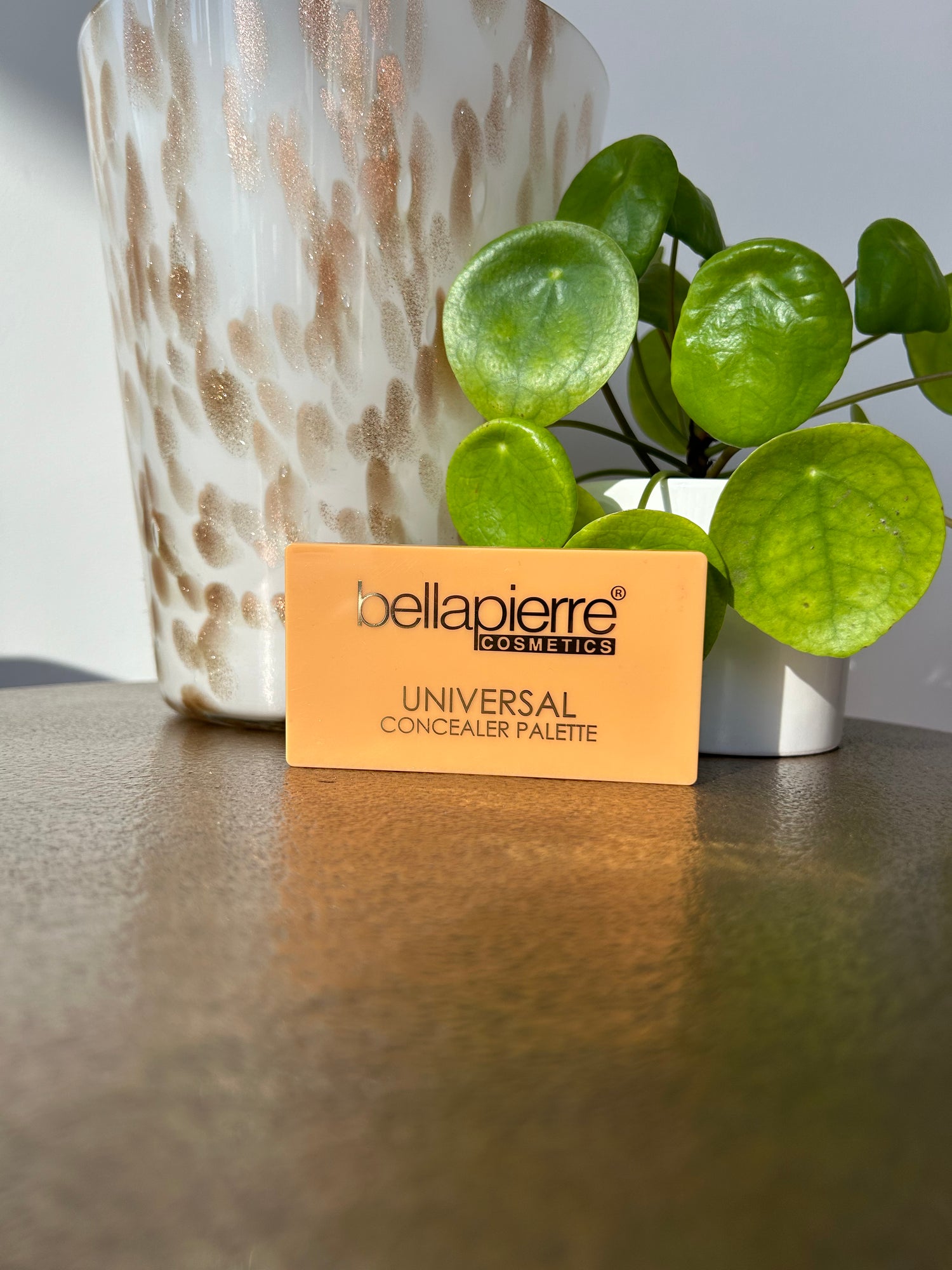 Bellapierre universal concealer palette